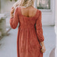 Rust colored Velvet Dress