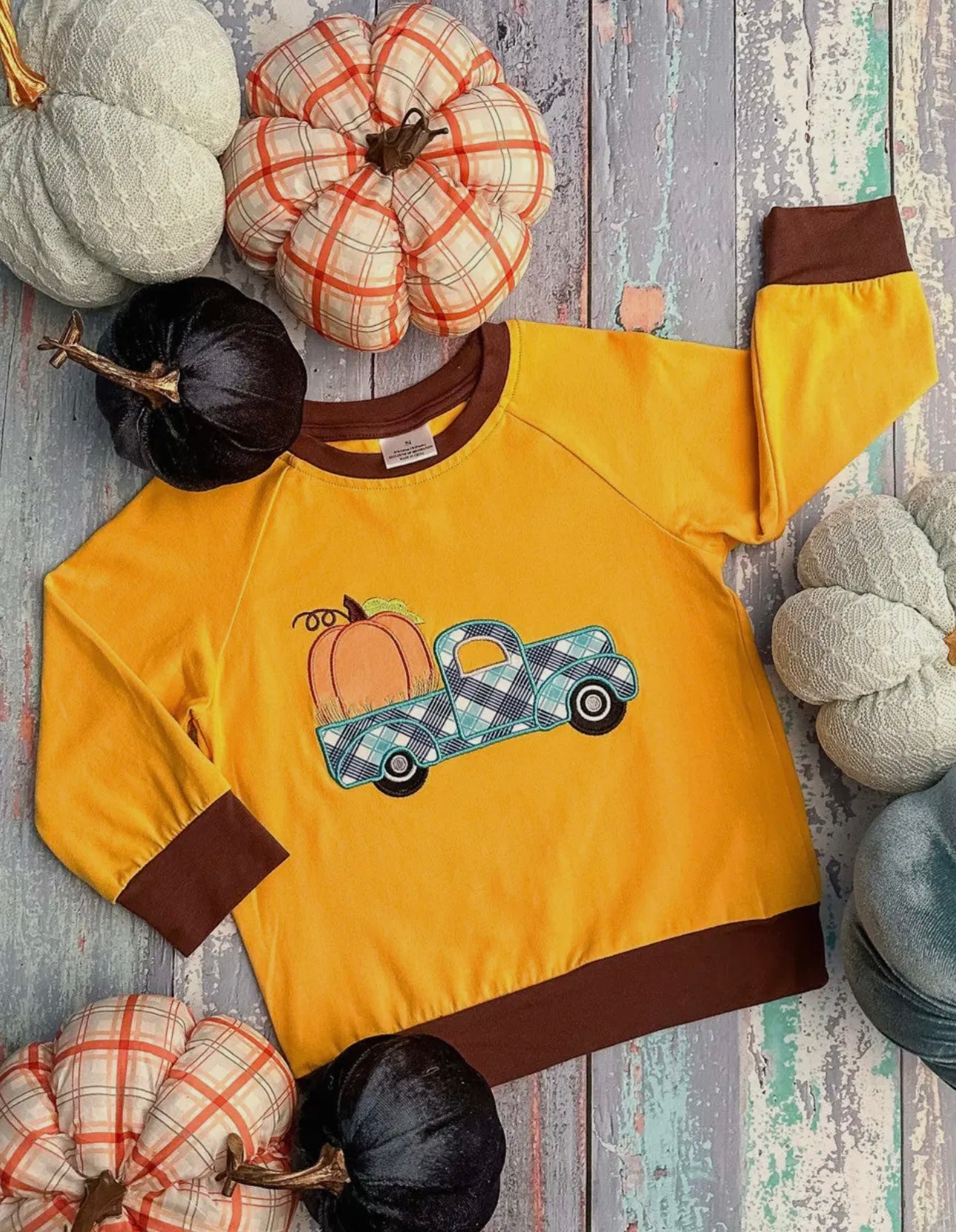 Youth boys Fall and Pumpkin truck crewneck